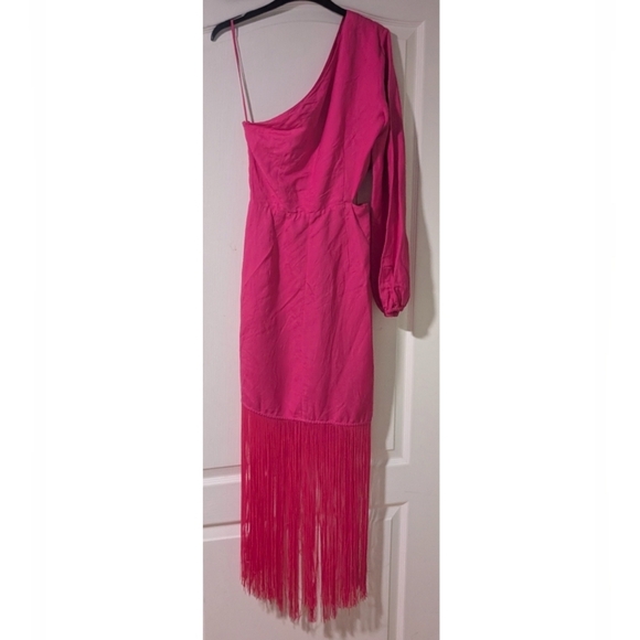 NEW! & Other Stories | Fringed One-Shoulder Midi Dress in Pink - Picture 6 of 13